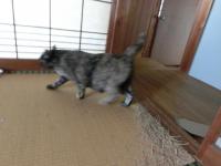 CIMG3352_convert_20121226124332.jpg