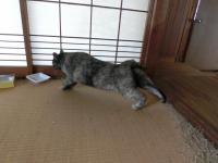 CIMG3353_convert_20121226124416.jpg