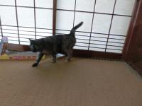 CIMG3356_convert_20121226124611.jpg