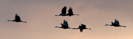 convert_20120921203906.png