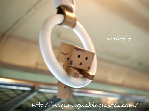 12danbo-00011.jpg
