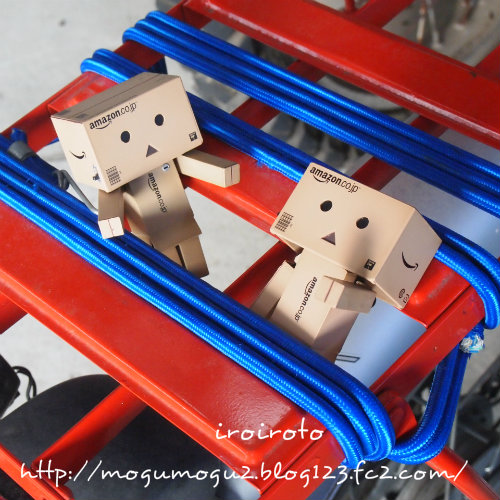 12danbo-034.jpg