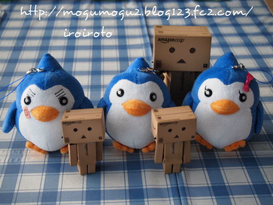 12danbo-042.jpg