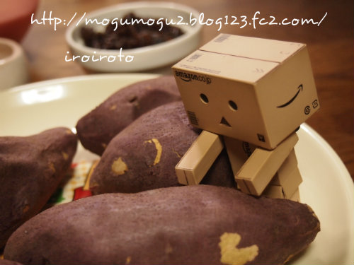 12danbo-046.jpg