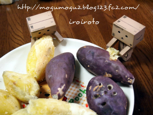 12danbo-047.jpg