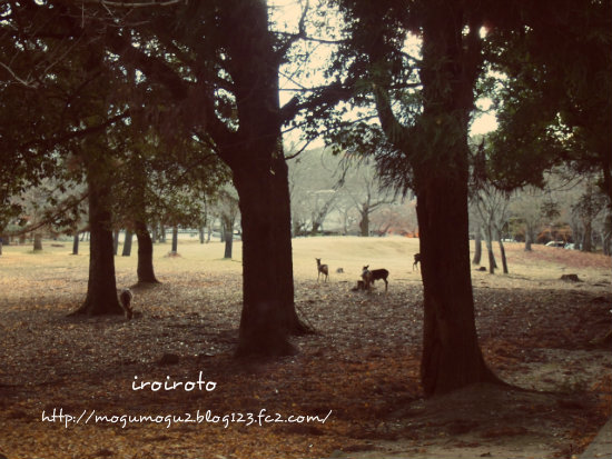 12nara00.jpg
