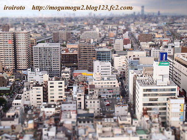 12sakaimachi03.jpg