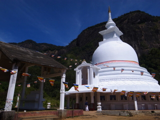 R0015067.jpg