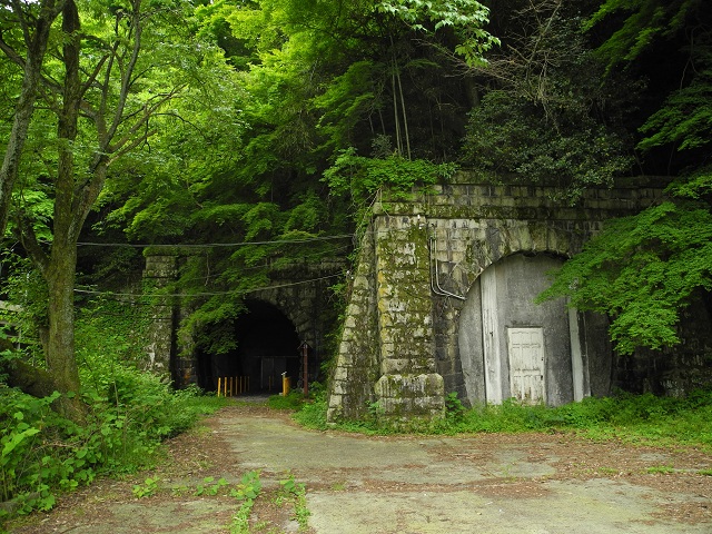 DSCN0164.jpg
