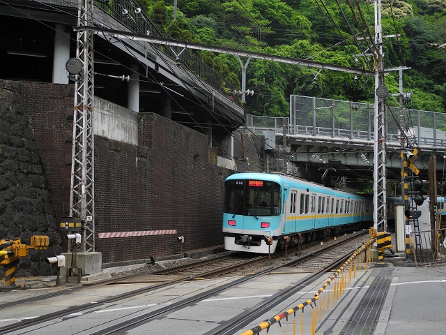 DSCN0170.jpg