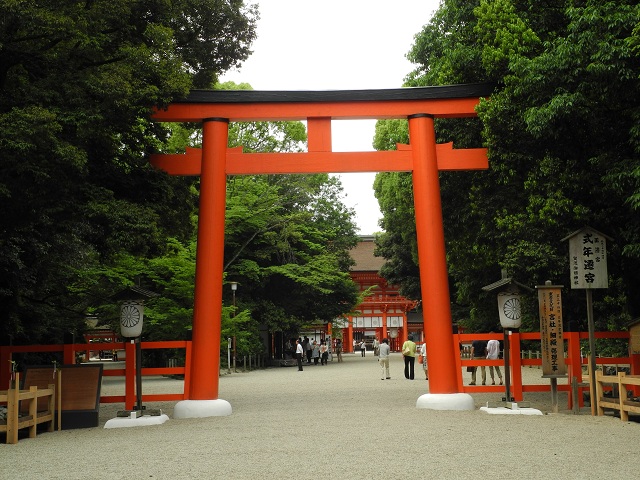 DSCN0467.jpg