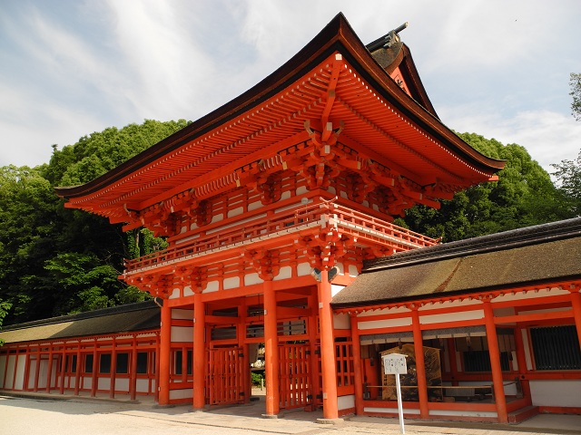 DSCN0478.jpg