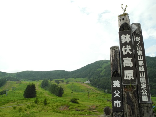 DSCN0925.jpg