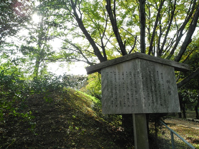 DSCN2973.jpg