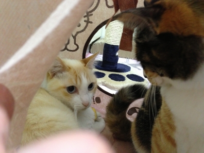 20130323-04.jpg