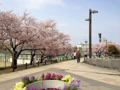20130401-08.jpg