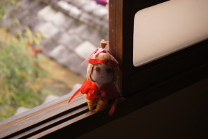 DSC00378.jpg