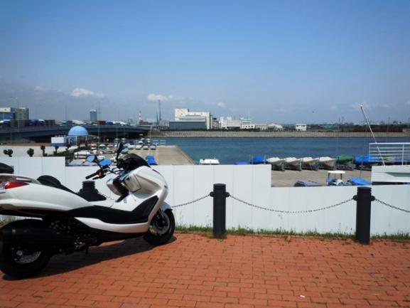 WAKASU-01.jpg