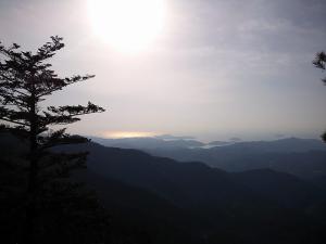 DSC_0533.jpg