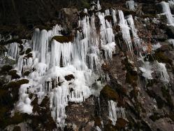 DSC_0845.jpg