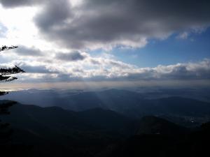 DSC_0856.jpg