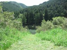 IMG_4684.jpg