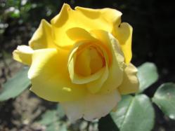 IMG_4721.jpg