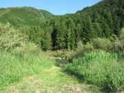 IMG_4746.jpg