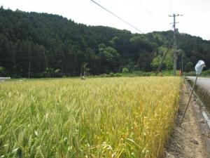 IMG_4832-1.jpg