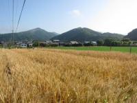 IMG_4971-1.jpg