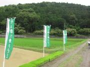 IMG_5226-1.jpg
