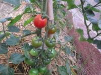 IMG_5313.jpg