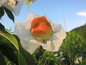 IMG_5327.jpg