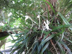 IMG_5511.jpg