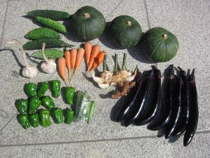 IMG_5799.jpg