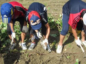 IMG_5970.jpg