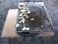IMG_5997.jpg