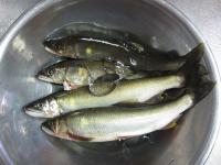 IMG_6049.jpg
