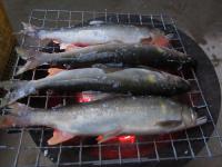 IMG_6055.jpg