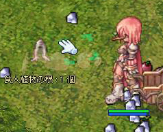 ウッドゴブリンの鼻