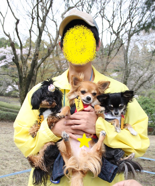130331_05.jpg