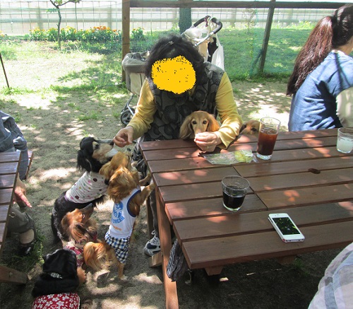 130512_01.jpg