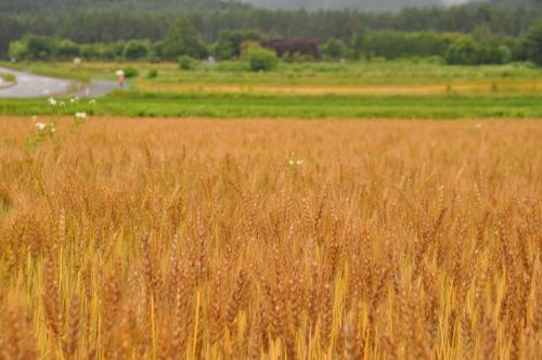2011_0626_104629-DSC_0035_convert_20120524015017.jpg