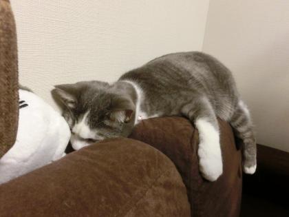 03-2_20130324151259.jpg