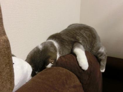03-3_20130324151300.jpg