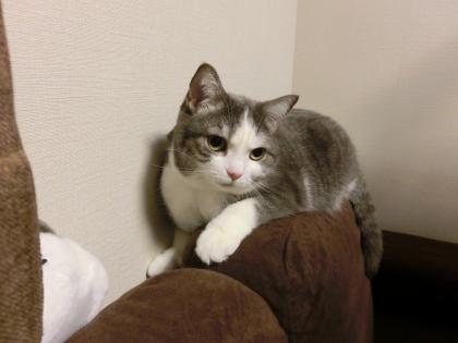 03-4_20130324151301.jpg