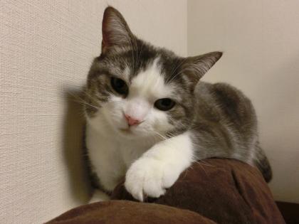 03-5_20130324151256.jpg