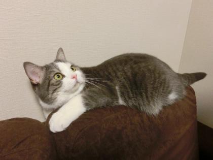 03-6_20130324151335.jpg