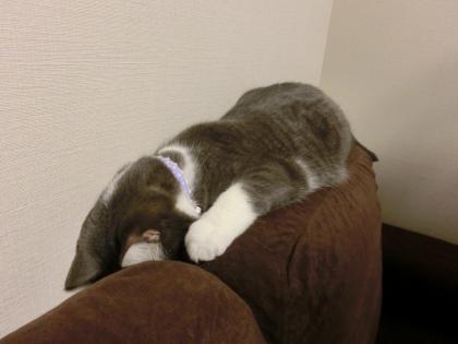 03-7_20130324151334.jpg