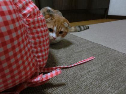 04-06_20130421000802.jpg